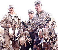 limits of mallard and pintail